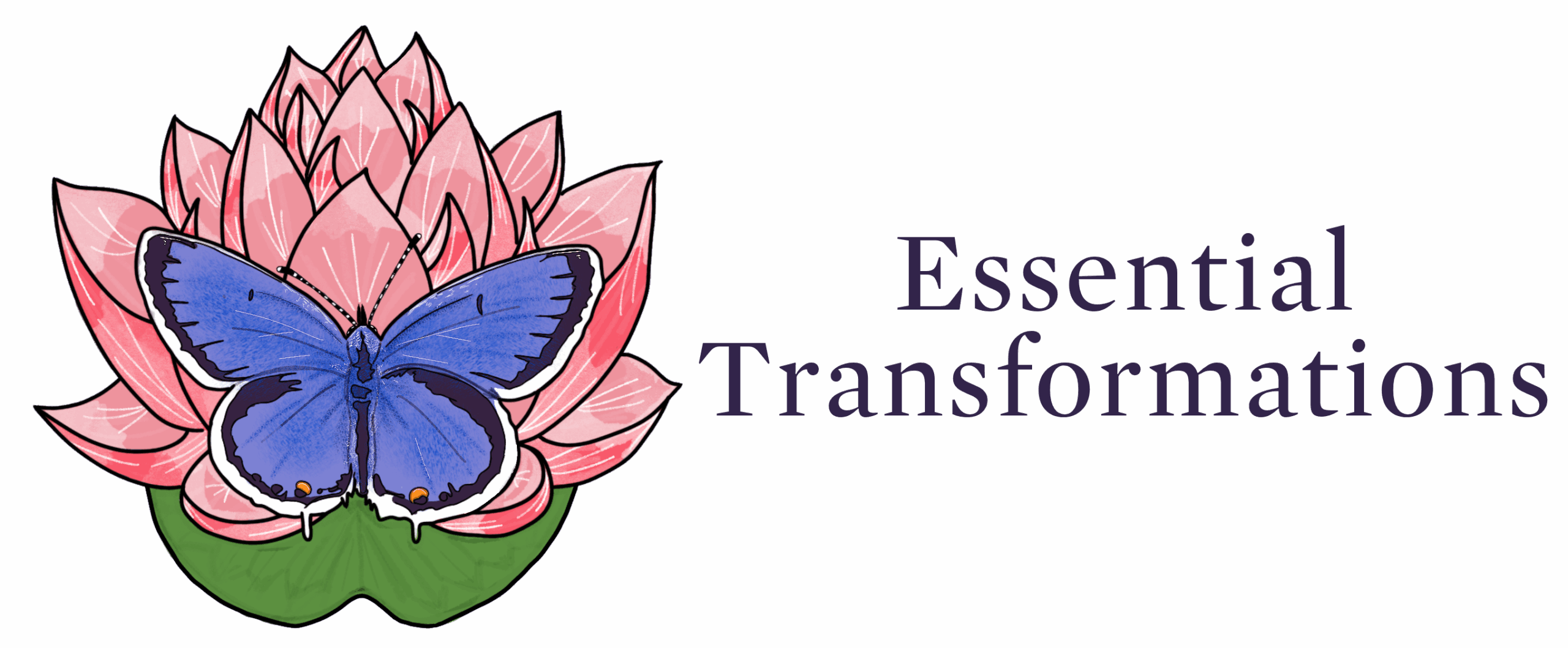 Essential Transformations